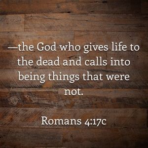 Meet your Posher, Izzy